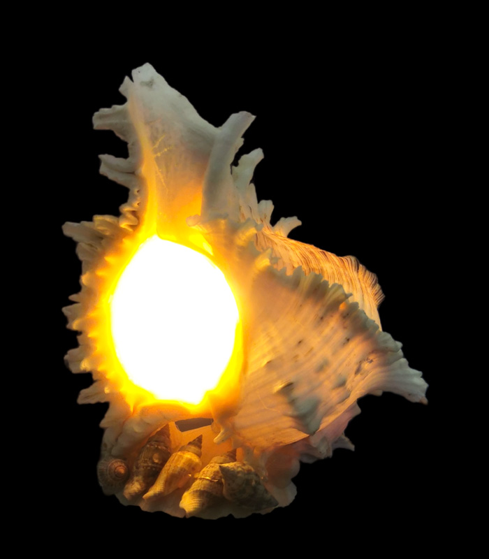 Φωτιστικό Κοχύλι 22cm